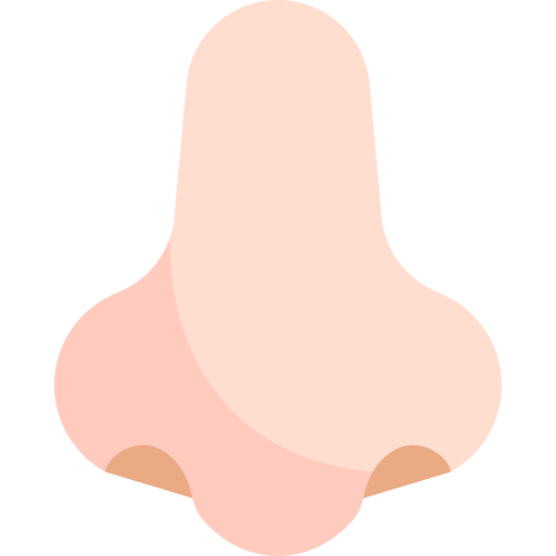 Nose icon for smelling